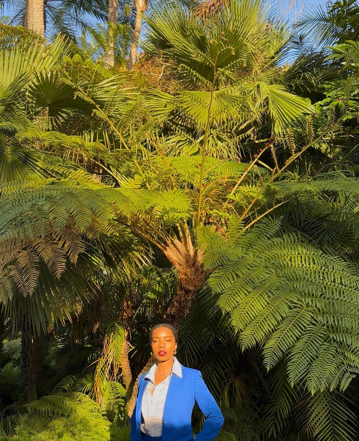 Image with text section