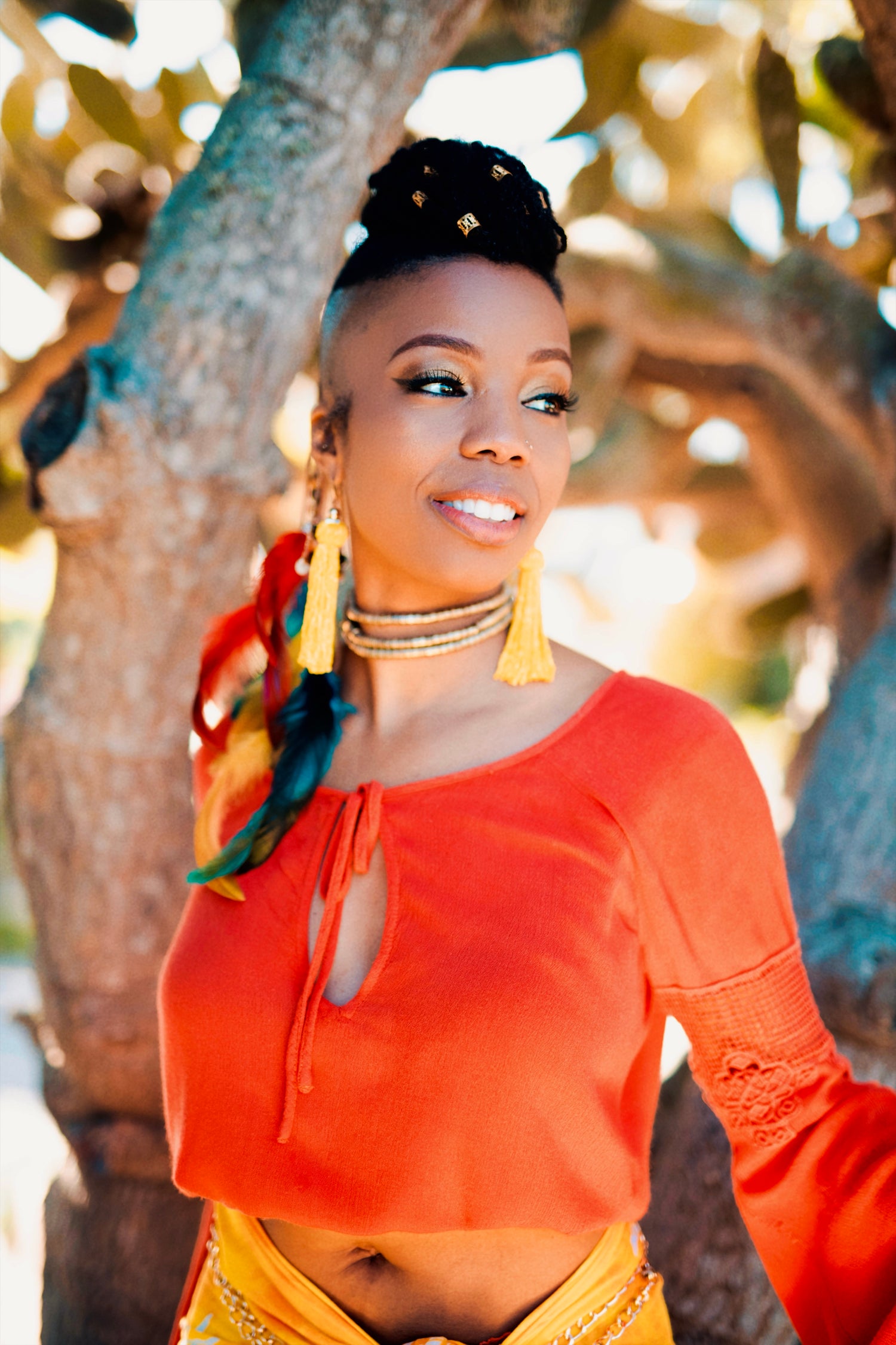 Image with text section